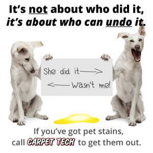 Two Dogs
